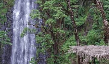 Materuni waterfalls and coffee tour Tour