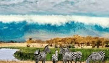 1 Day Lake Manyara National Park Safari Tour