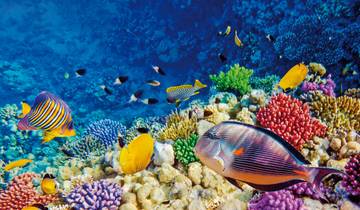 Osiris - Kairo, Nil & Baden Rundreise