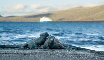 Natural Paradise Galapagos Yacht - 8 days B Tour
