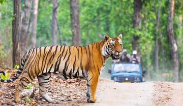 Ranthambore Safari & Kulturerbe Tour Indien Rundreise