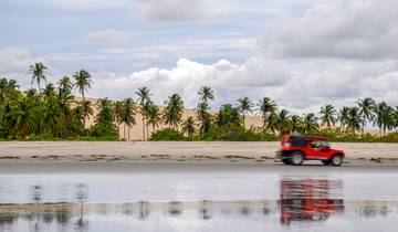 12 Days Discovering Brazil: The Route of Emotions