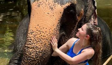 Wildlife Wonders of Sri Lanka – 18 Days Tour