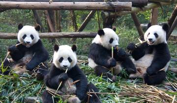 13 Dagen Hoogtepunten van Japan en China met kinderen (privégids en chauffeur）Familiareis - Aanpasbaar