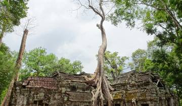 Cyclisme au Cambodge - 7 jours