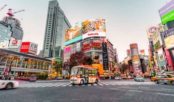Japan Bucketlist: High-speed rails & Zen Temples