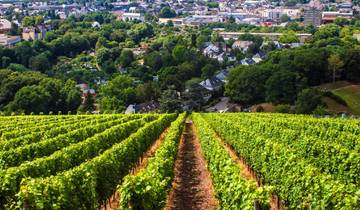 Le Rhin et la Moselle légendaires et Berlin