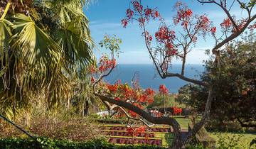 Madeira - The Pearl of the Atlantic - Funchal