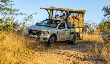 Expédition safari de 4 jours dans le Kruger