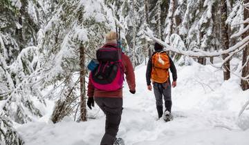 Snowshoeing in the Obernbergtal 6 Days
