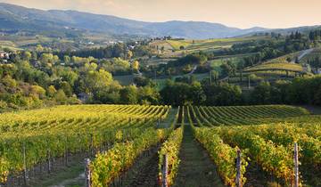 Premium Tuscany
