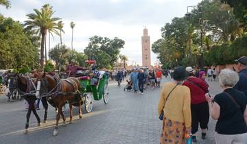 Circuit privé de 8 jours au Maroc depuis Marrakech via le désert du Sahara, Fes, Chefchaouen circuit