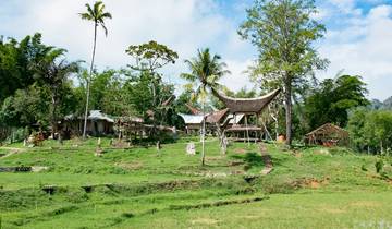 Découverte de Sulawesi Sud - 6 jours circuit