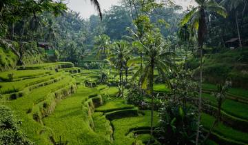 Journey Through Java to Bali - 9 days Tour