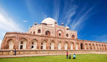 Delhi to Jaipur & Tigers - 8 days
