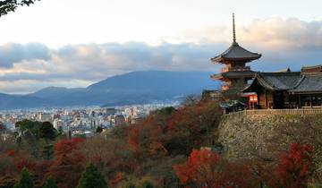 Tokyo to Kyoto - 10 days