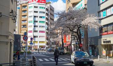 Trésors du sud du Japon 2026