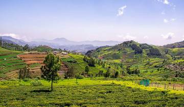 Von Bangalore nach Nagarhole: Eine fesselnde 6-tägige Tour durch Wildnis und Kultur Rundreise