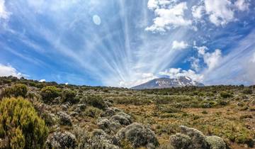 Meilleure ascension du Kilimandjaro en Tanzanie par la voie Lemosho 8 jours circuit