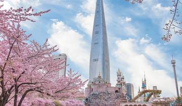 5 jours Séoul en fleurs : Le voyage des cerisiers en fleurs (guide et chauffeur privés）Family Tour - Personnalisable)