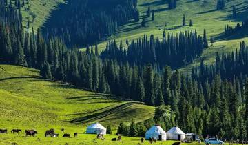 11 Days Xinjiang Group Tour to Kashgar and Kanas Lake