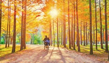 10 jours - Splendeur de l'automne : Voyage de la récolte d'or en Corée (guide et chauffeur privés）Voyage en famille - personnalisable)