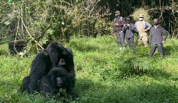 4 Day Gorilla Trekking and Volcano Hiking Safari Uganda Tour