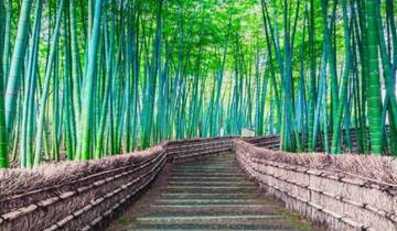 Essence of the East: Japan & Korea Highlights Tour Tour