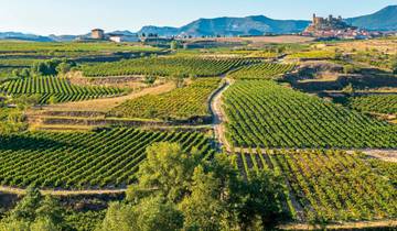 La magie du nord de l'Espagne : de Bilbao l'urbaine aux rêves de vin de La Rioja