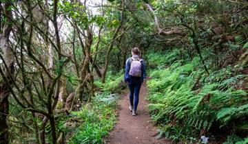 Hike The Canary Islands 