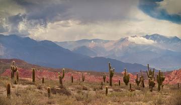 Argentinië: Tucumán, Salta, Cafayate, Humahuaca - 7 dagen