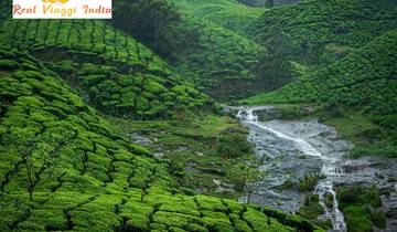 12-Day South India Temple Circuit with Kerala Highlights Tour