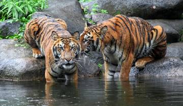 Circuit de 8 jours dans le Triangle d\'Or avec le parc national Jim Corbett circuit