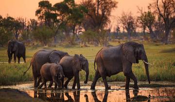 Safari de 6 jours en Tanzanie circuit