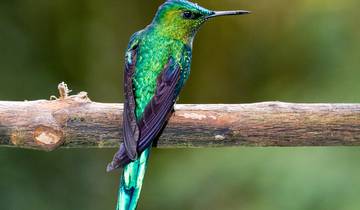 Colombie côtière
