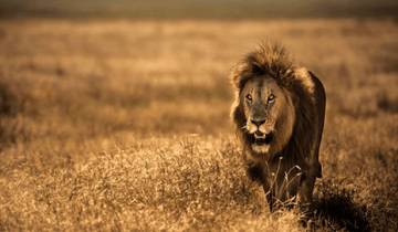 Safari de 2 jours en Tanzanie circuit