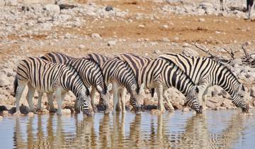 Premium Botswana & Namibia