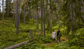 Scandinavie classique circuit