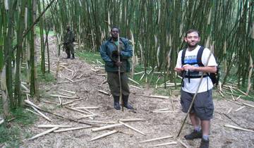 3-Day Kibale Primate Capital Safari: Chimpanzee Tracking & Bigodi Wetland Discovery Tour