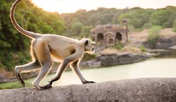 The Heritage and Ranthambore Tiger Trail of India