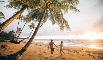 Circuit confortable de 9 jours de la Grande Barrière de Corail et des Whitsundays avec la forêt tropicale de Daintree (de Brisbane à Cairns) circuit