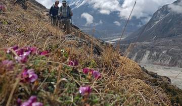 Trek du Mardi Himal circuit