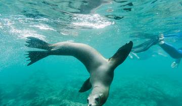 Vacances en famille aux Galapagos
