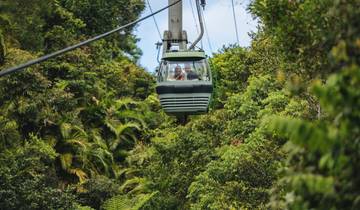 Daintree Rainforest & Port Douglas 3 Day Tour