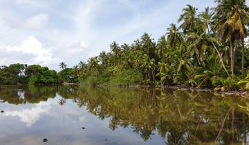 Expérience 7N aux Maldives sur l'atoll de Goidhoo
