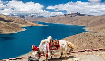 9 jours - Circuit en petit groupe au Tibet sacré et au Mont Everest (max. 15) | Forfait Aventure Chine occidentale circuit