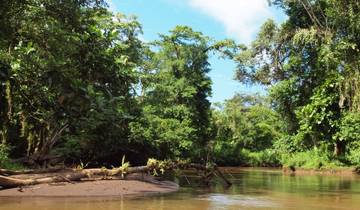 Costa Rica\'s Caribbean & Culture Tour