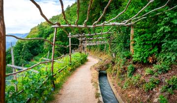 Alpine crossing Tegernsee - Merano Tour