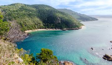 South Africa - explore the Highlights of the Cape Region and Garden Route1 6 Days