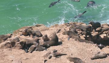 South Africa - Explore the Highlights of the Cape Region and Garden Route 16 Days